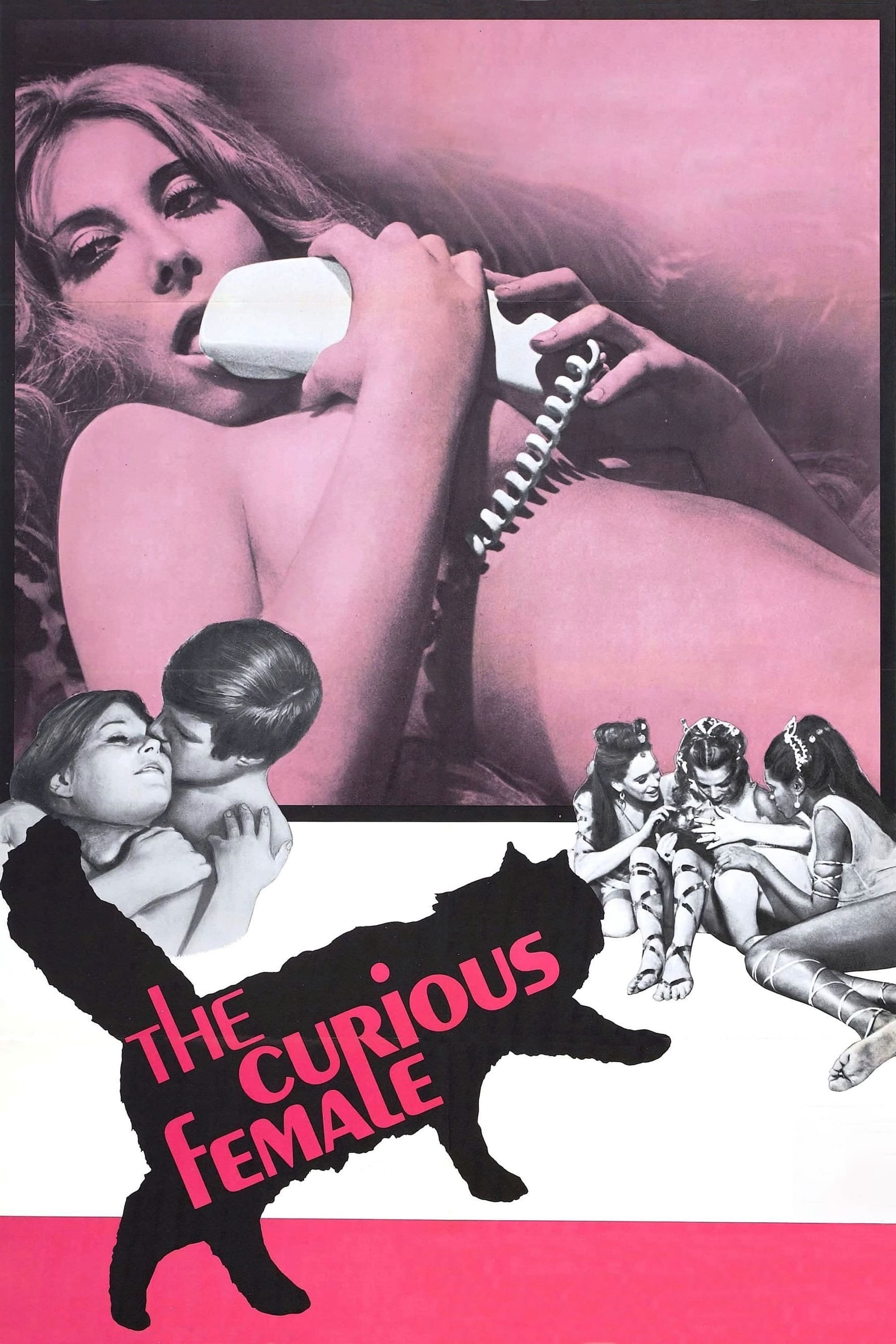 The Curious Female | The Curious Female