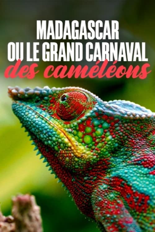 Madagascar or the Great Carnival of the Cameleons | Madagascar or the Great Carnival of the Cameleons