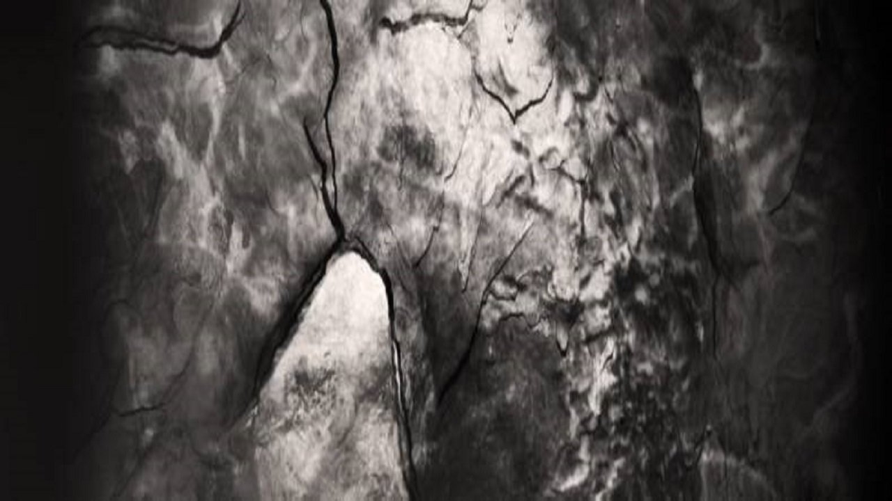 An Excavation of Us|An Excavation of Us
