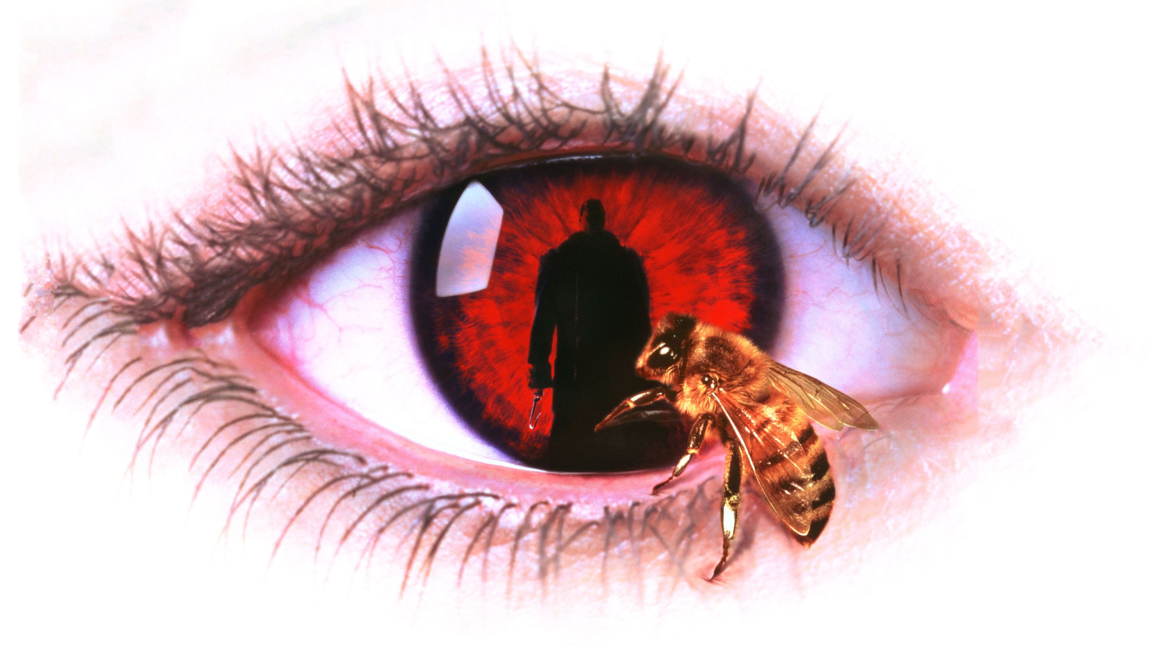 مرد آبنباتی|Candyman