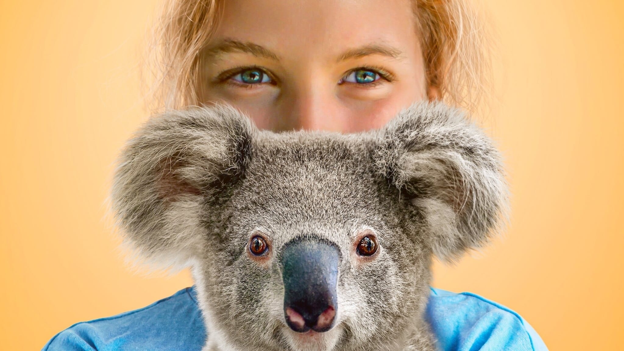 Izzy's Koala World|Izzy's Koala World