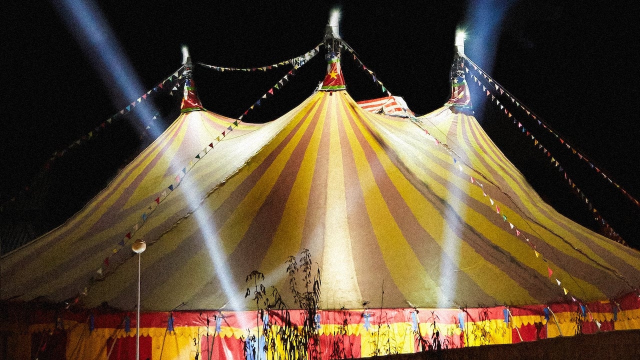 The Circus|The Circus