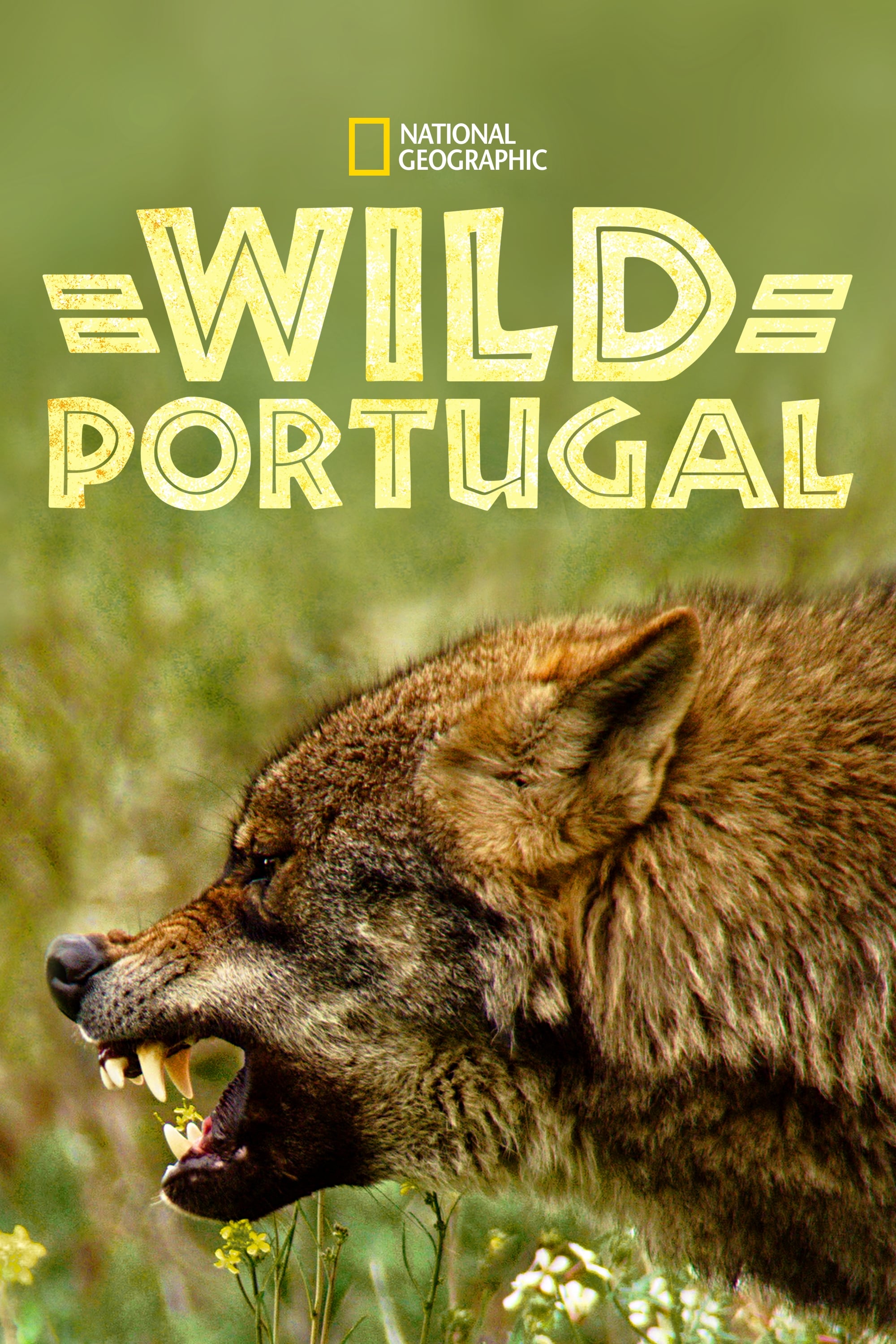 Wild Portugal | Wild Portugal