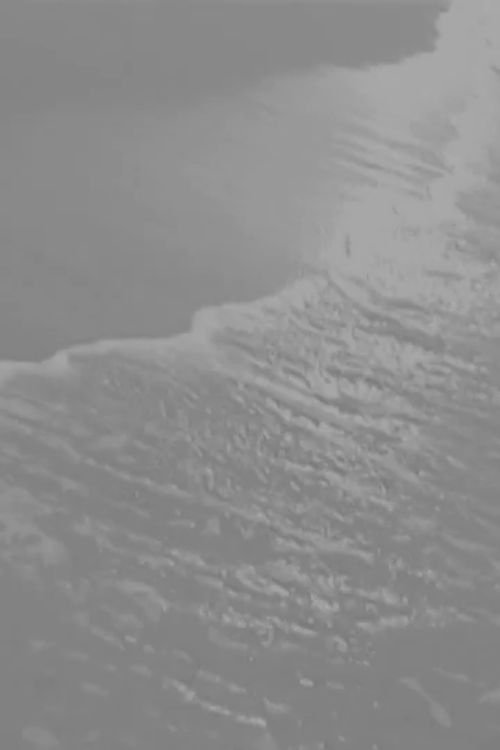 静カノ海