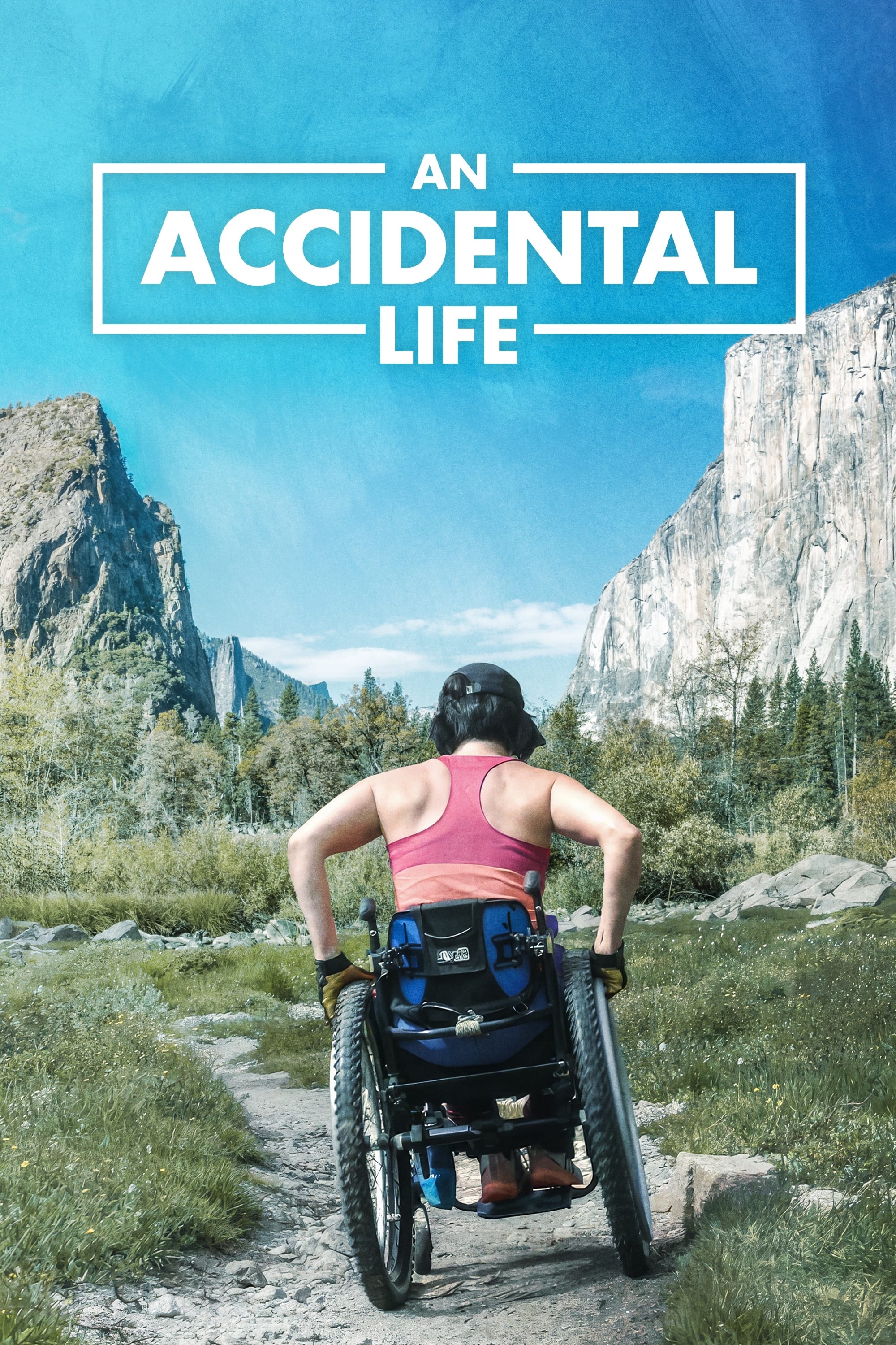 An Accidental Life | An Accidental Life