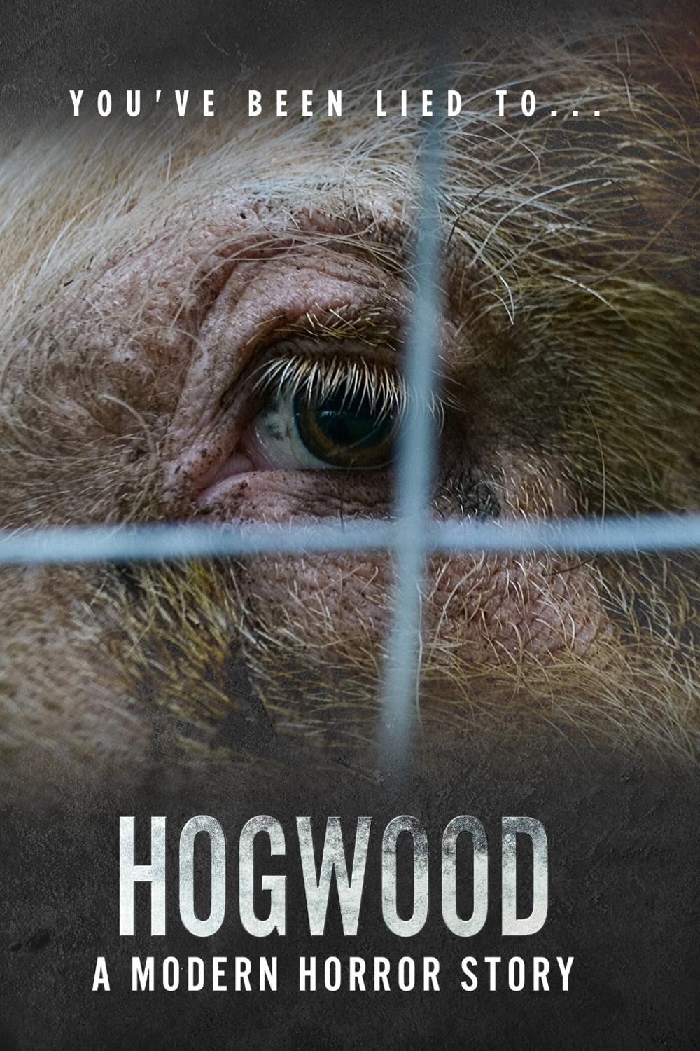 Hogwood: A Modern Horror Story