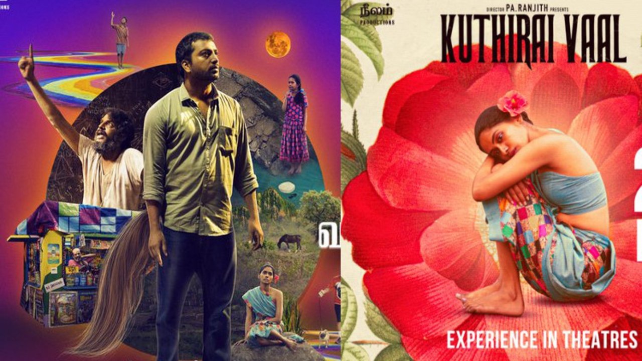 குதிரைவால்|குதிரைவால்