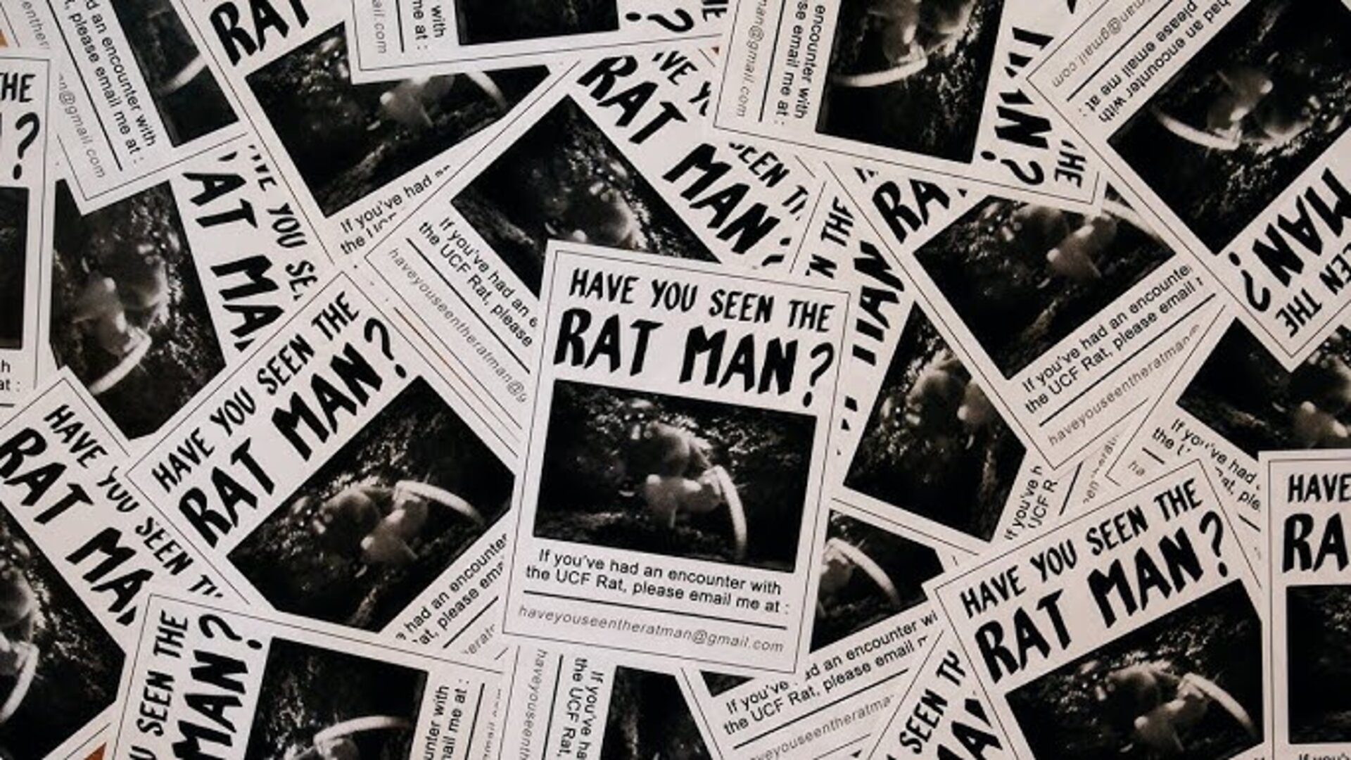 Have You Seen The Ratman?|Have You Seen The Ratman?