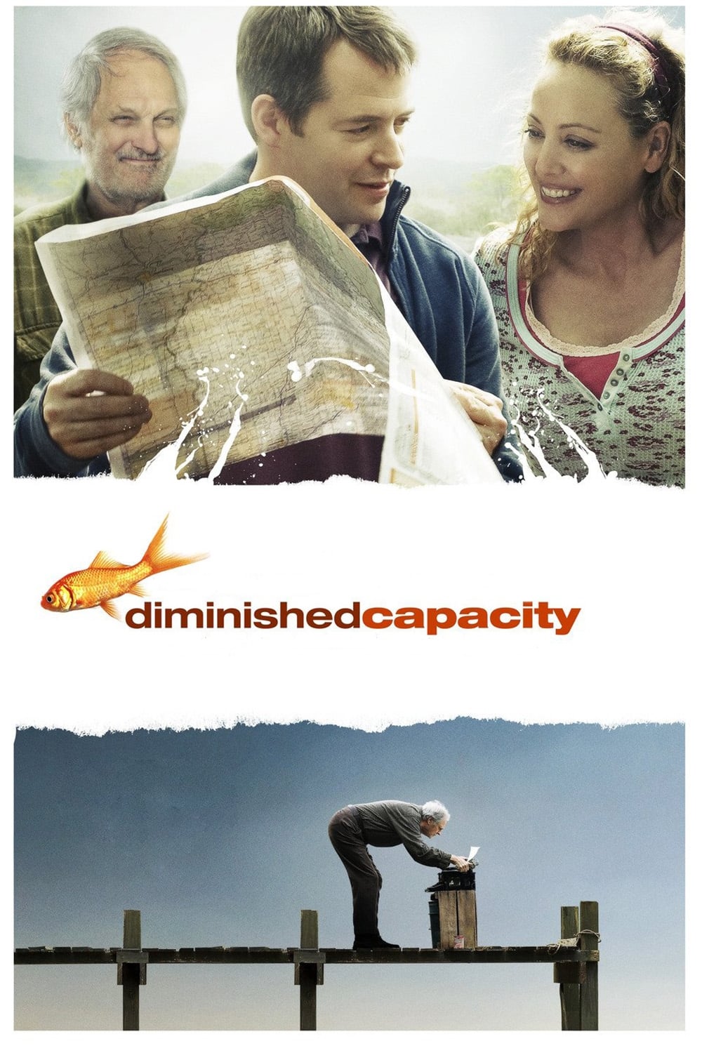 Diminished Capacity | Diminished Capacity