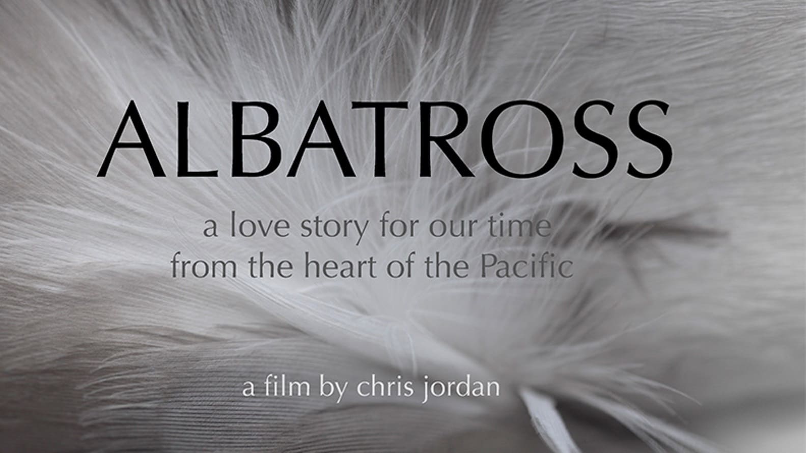 Albatross|Albatross