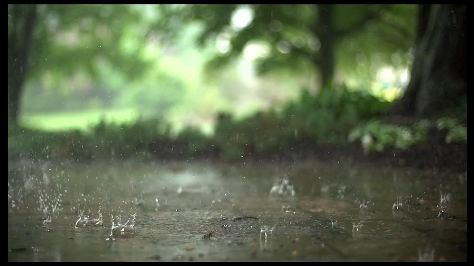 Reflections in a Raindrop: A Student Film|Reflections in a Raindrop: A Student Film