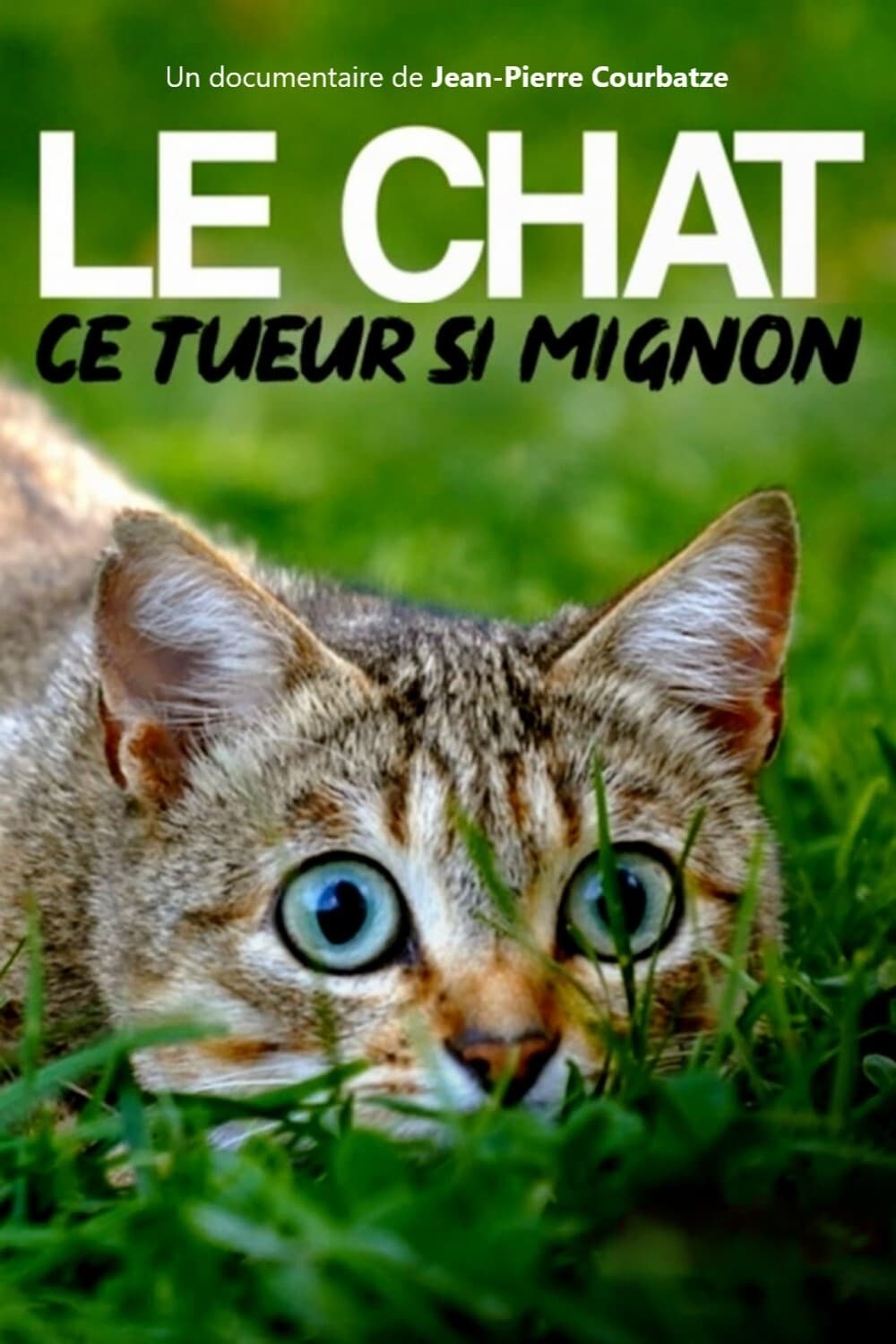 Le Chat, ce tueur si mignon | Le Chat, ce tueur si mignon