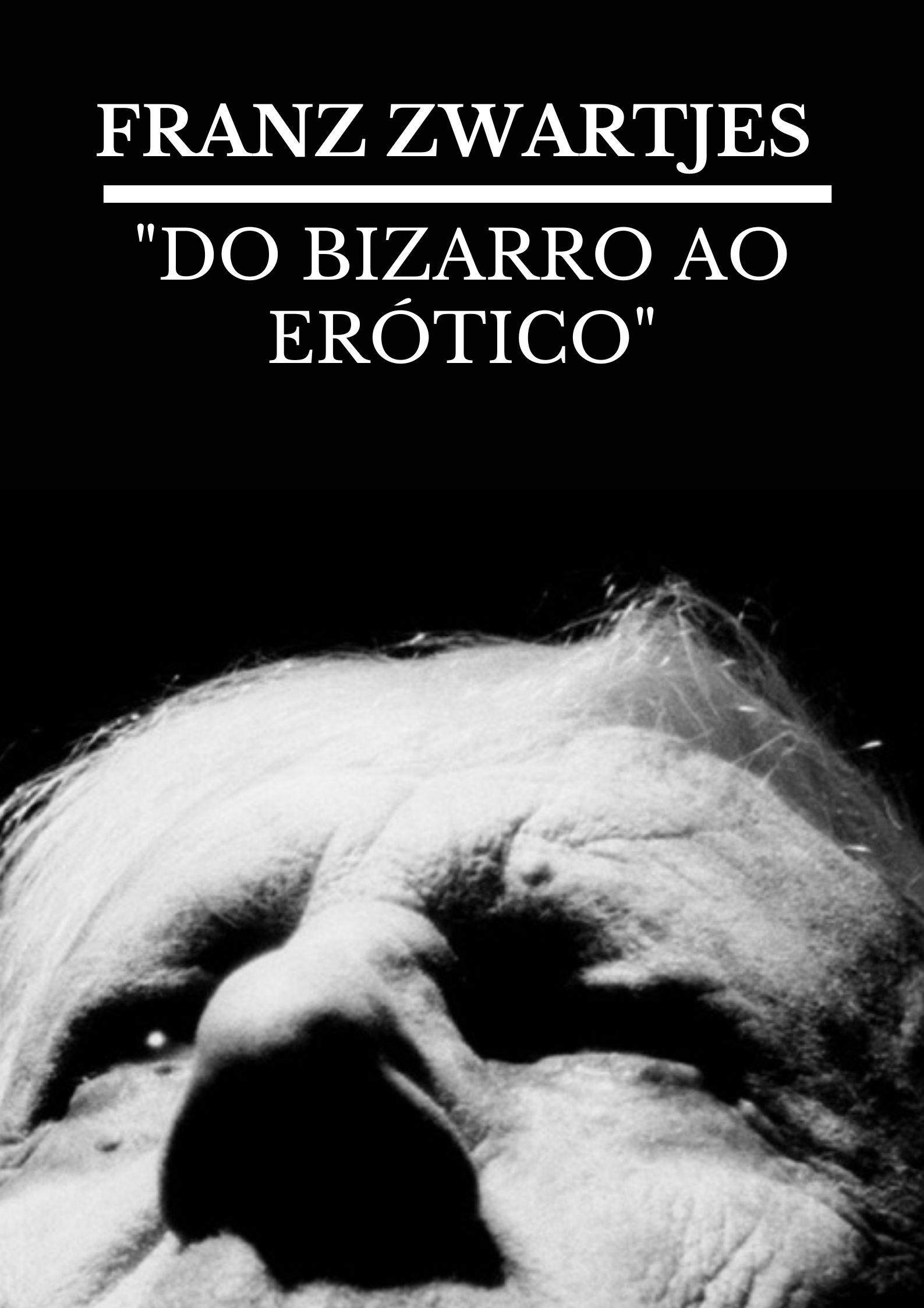 FRANZ ZWARTJES : "DO BIZARRO AO ERÓTICO" | FRANZ ZWARTJES : "DO BIZARRO AO ERÓTICO"