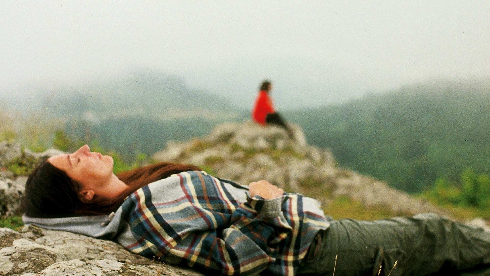 تصویر 0