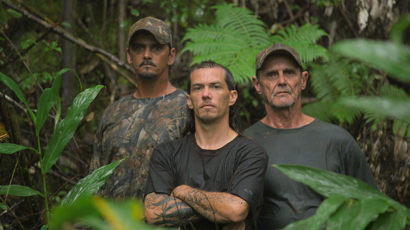 American Jungle|American Jungle