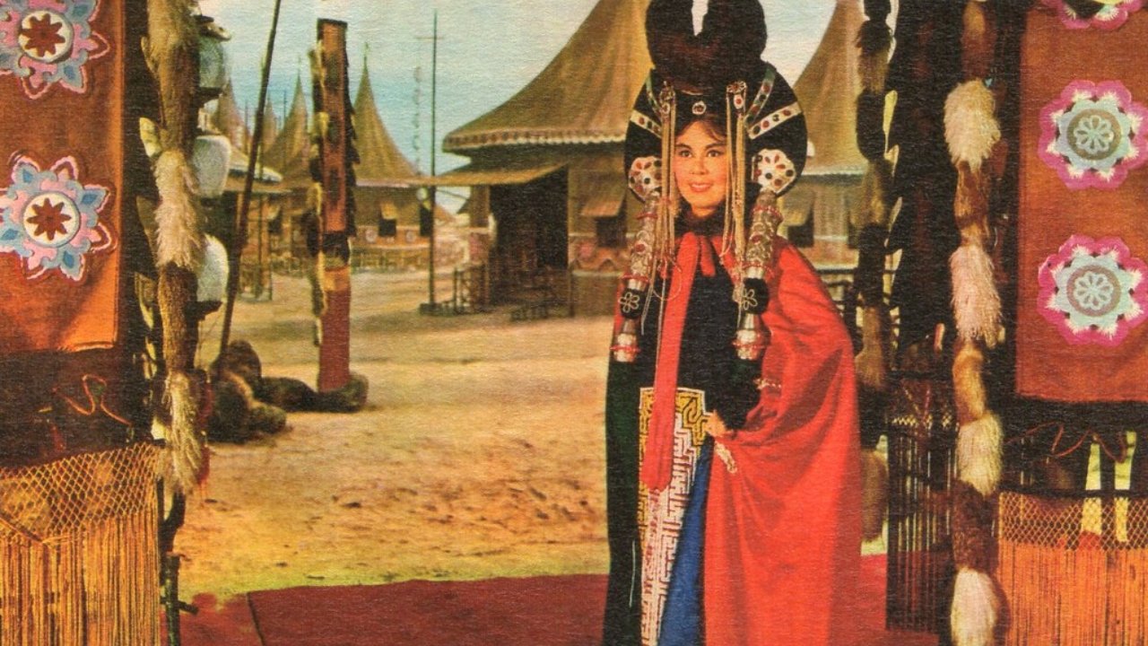 Wang zhao jun|Wang zhao jun