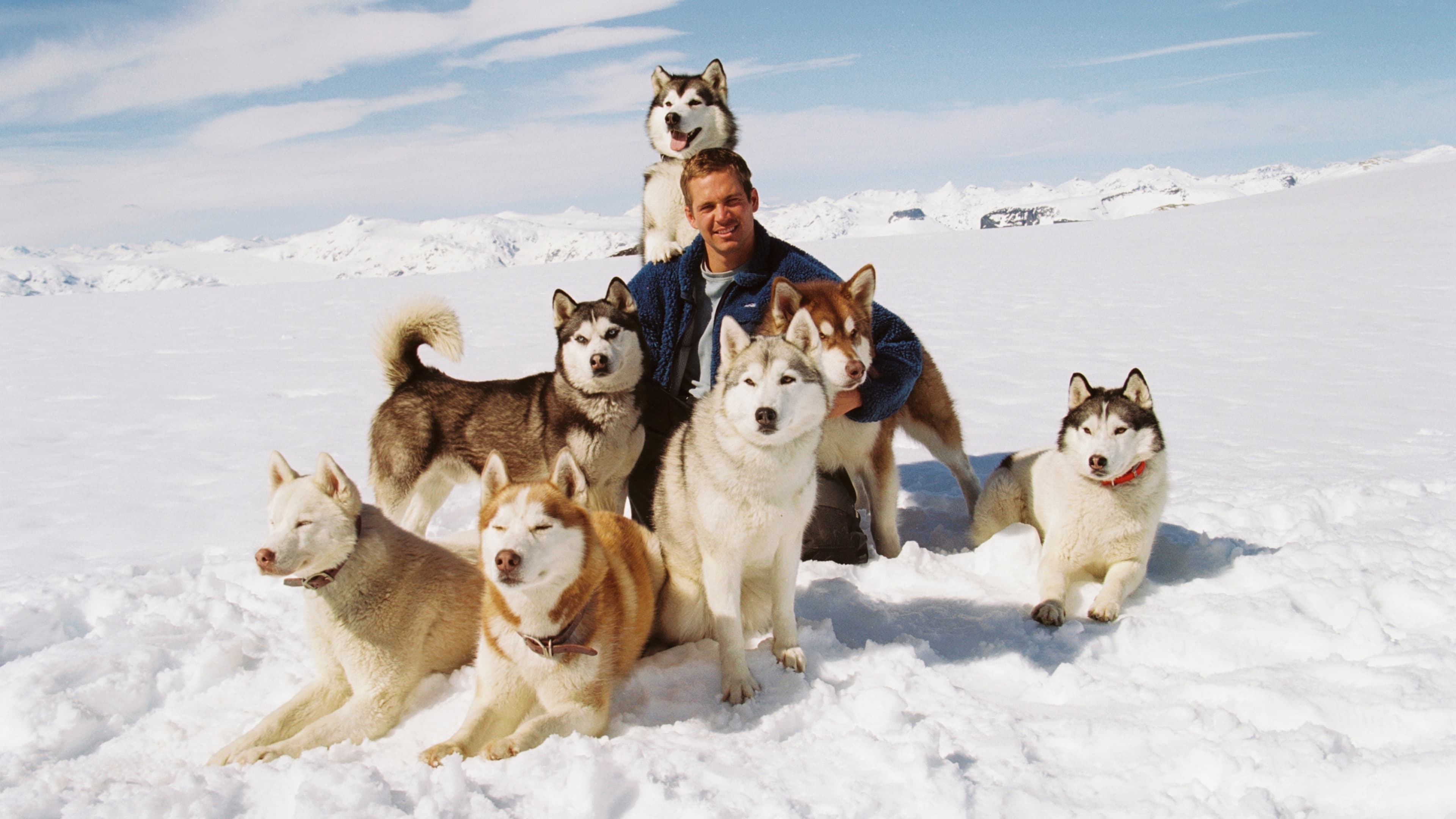 Eight Below|Eight Below