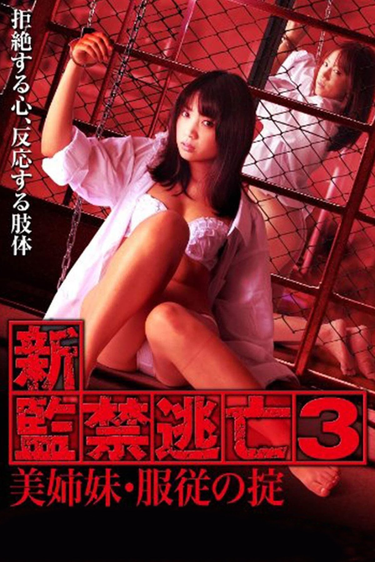 新・監禁逃亡3～美姉妹・服従の掟～