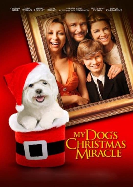 My Dog's Christmas Miracle | My Dog's Christmas Miracle