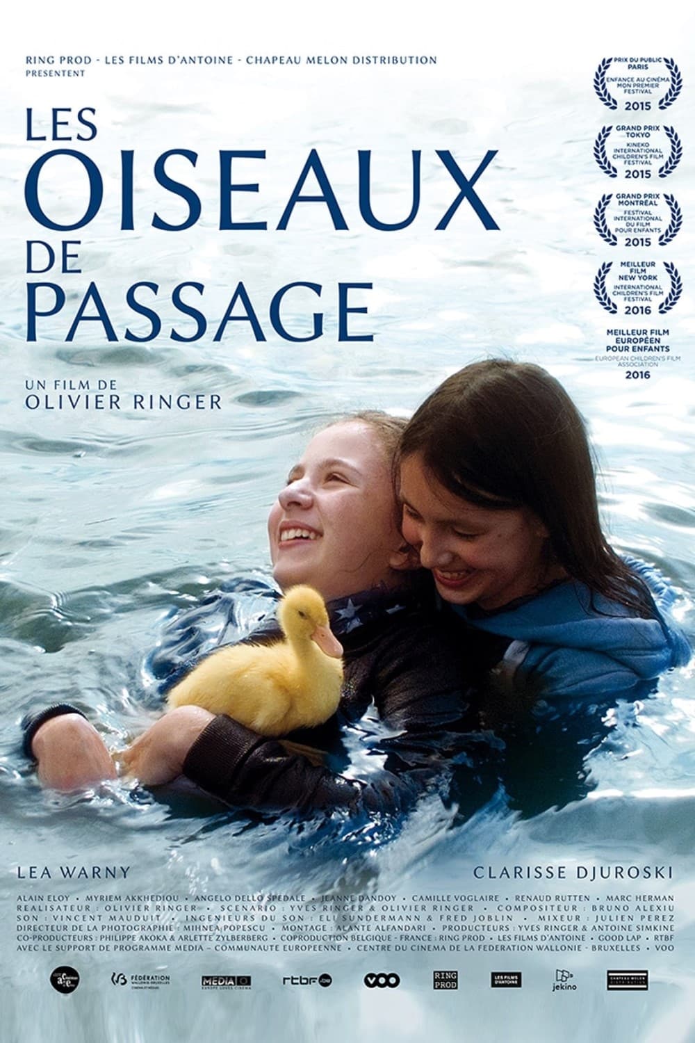 Les oiseaux de passage | Les oiseaux de passage