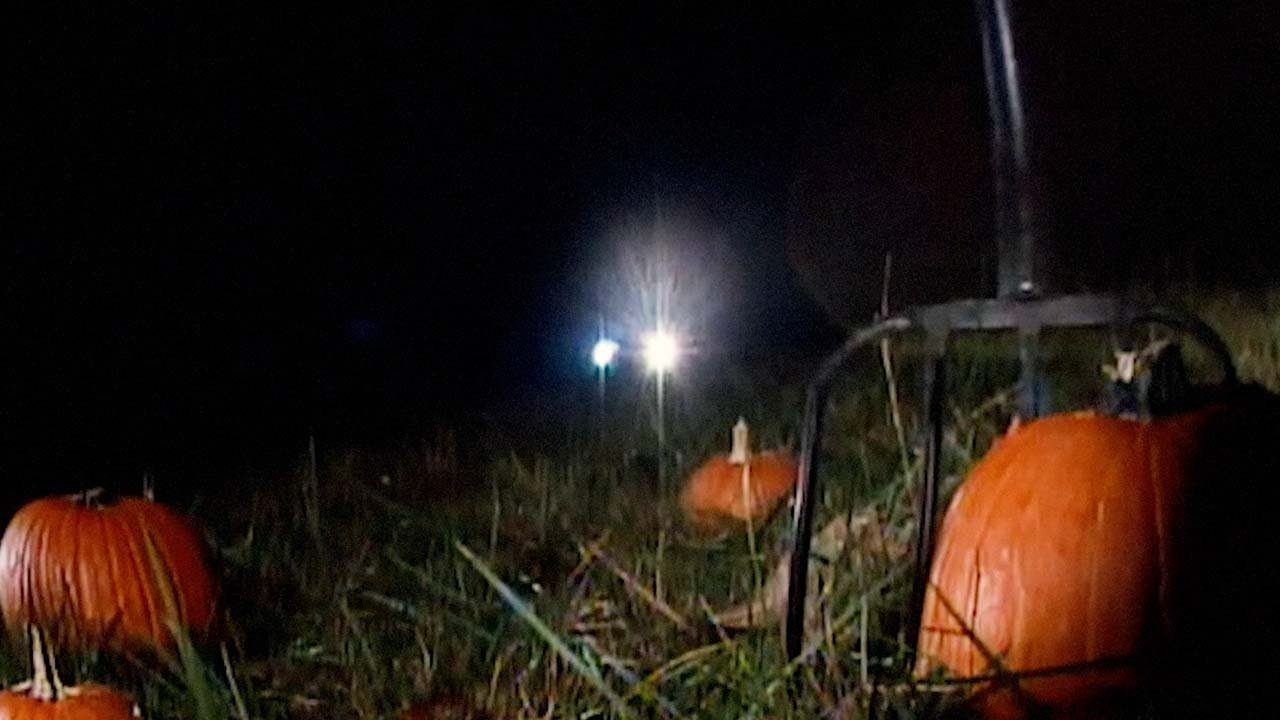 Revenge of the Great Pumpkin|Revenge of the Great Pumpkin