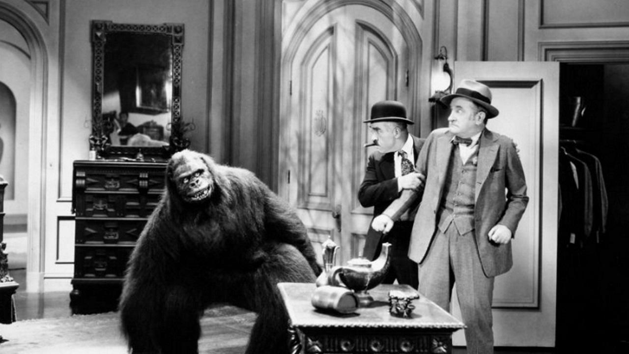 The Gorilla|The Gorilla