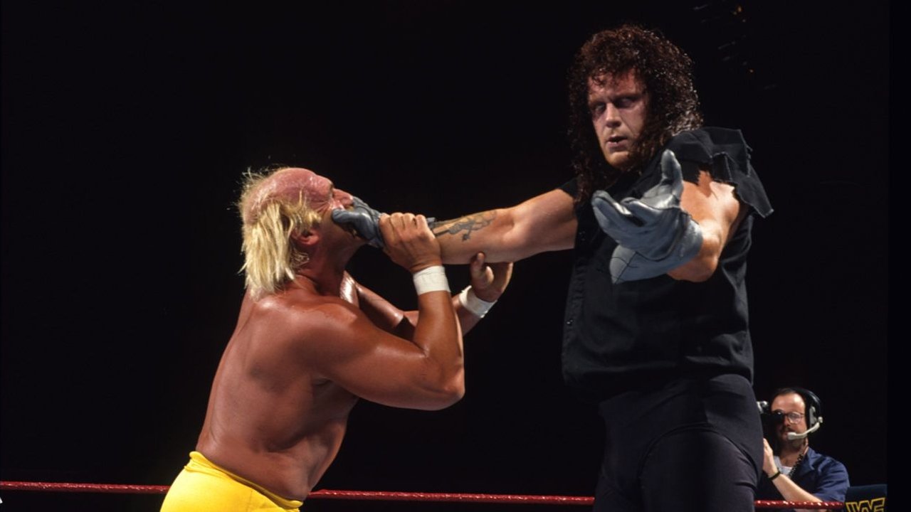 WWE Survivor Series 1991|WWE Survivor Series 1991