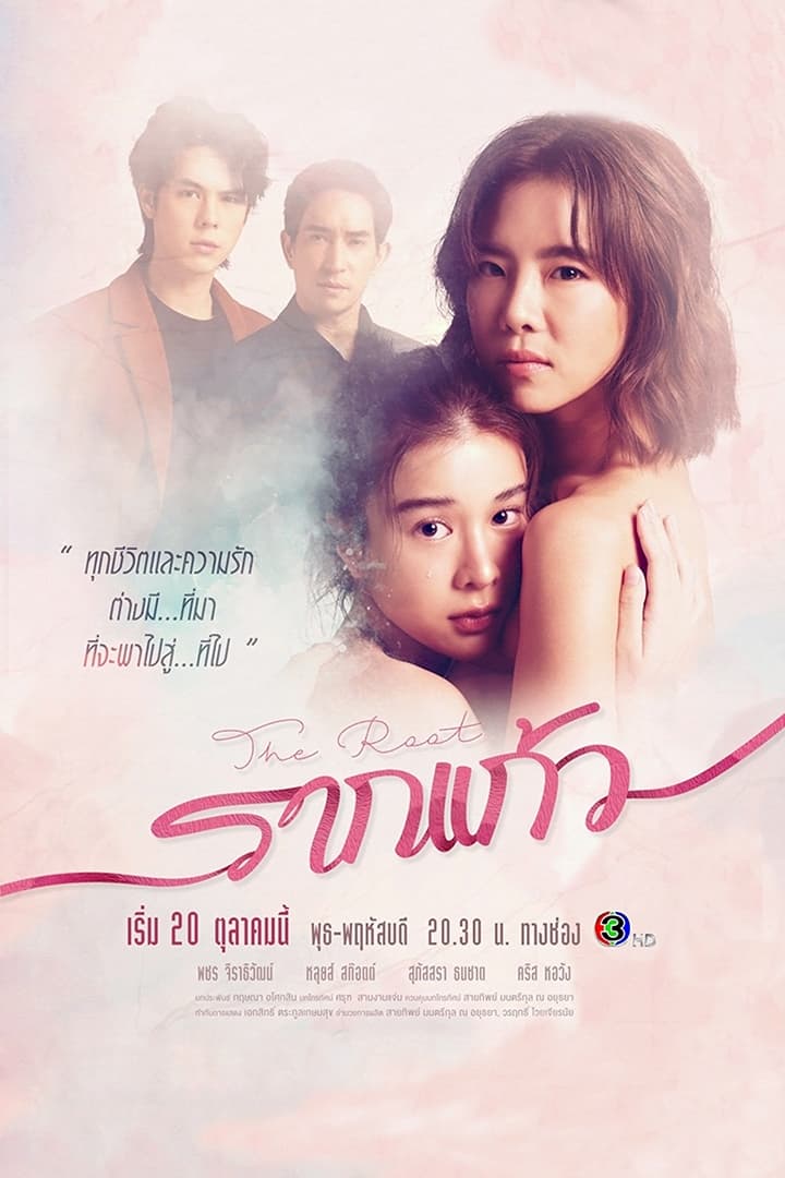 รากแก้ว | รากแก้ว