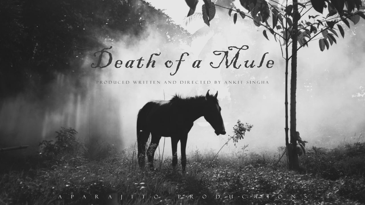 Death of a Mule|Death of a Mule