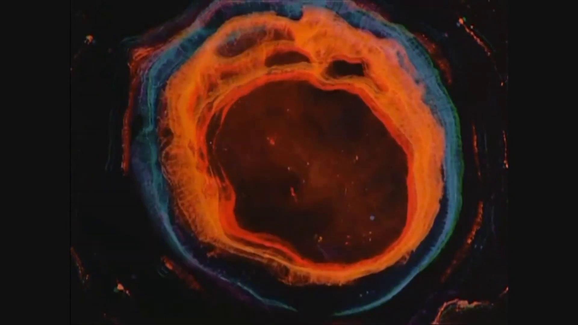 Fluids|Fluids