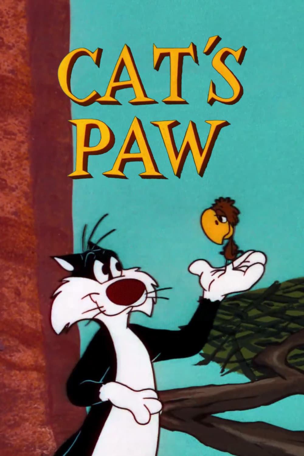 Cat's Paw | Cat's Paw