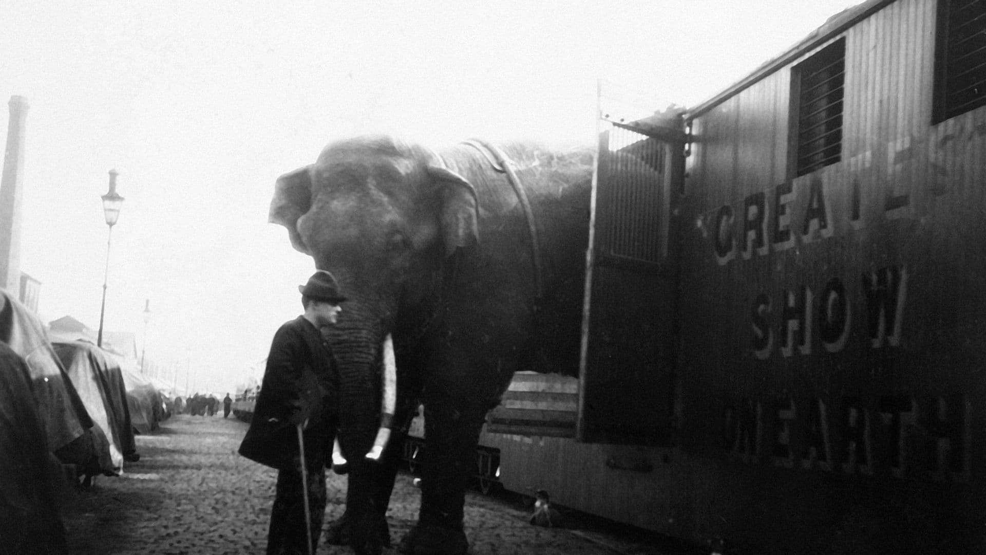 La Tragique Histoire de Fritz l'éléphant|La Tragique Histoire de Fritz l'éléphant