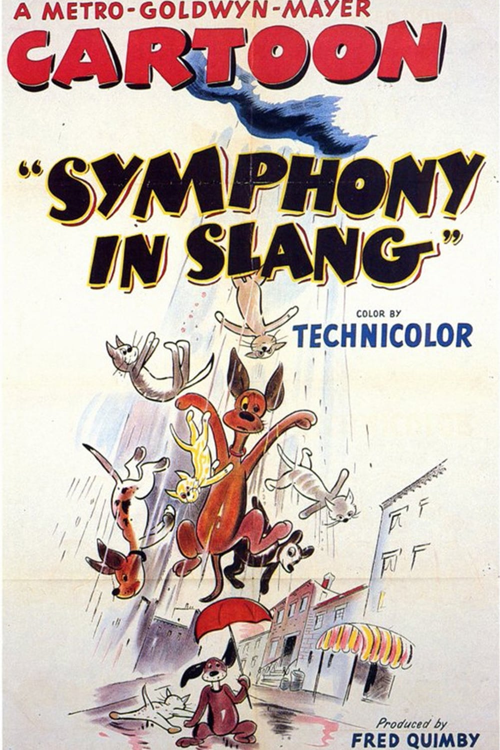 Symphony in Slang | Symphony in Slang