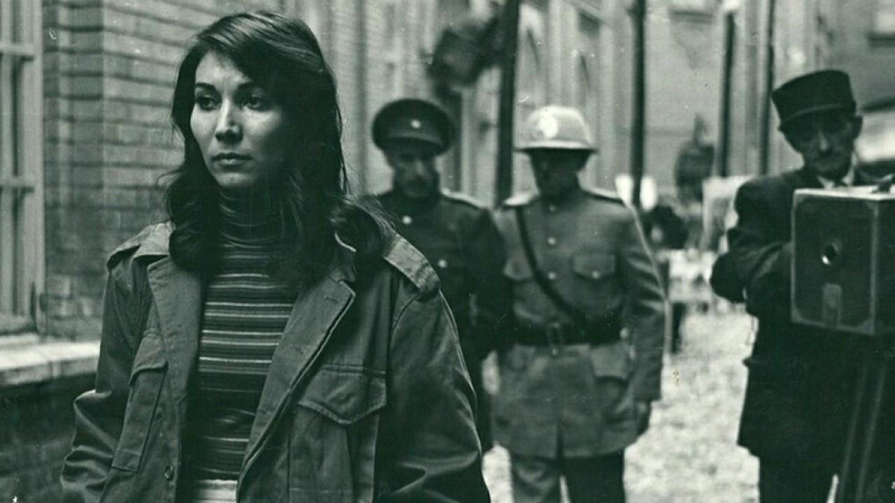 کلاغ|کلاغ