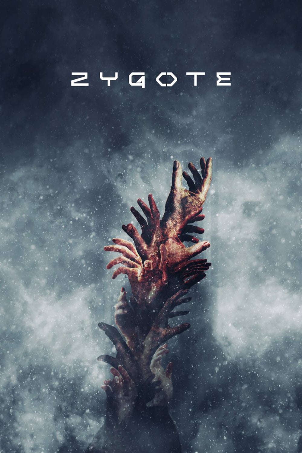 Zygote | Zygote