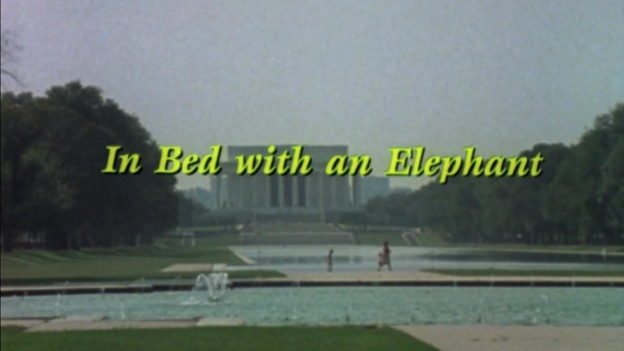 In Bed with an Elephant|In Bed with an Elephant