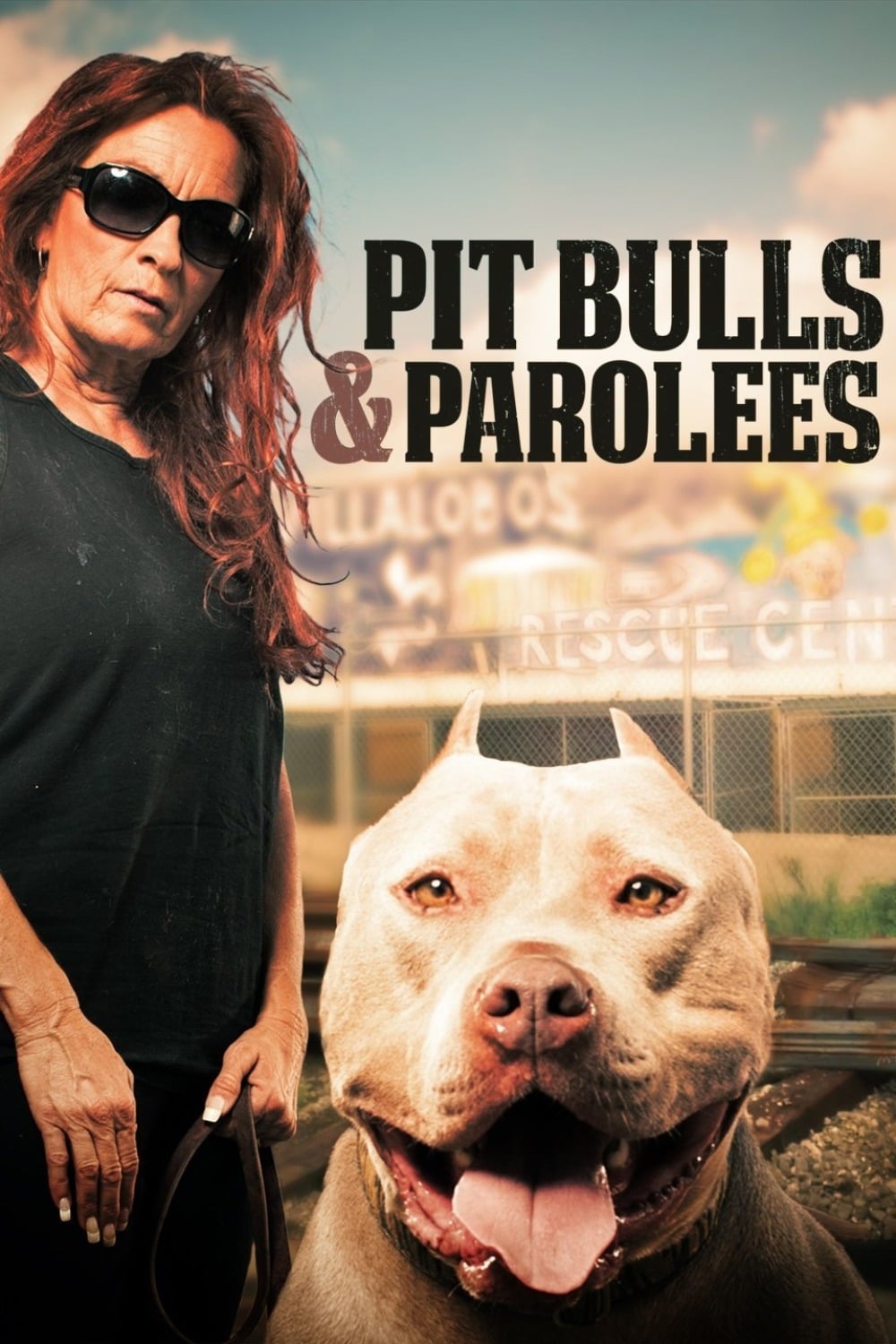 Pit Bulls and Parolees | Pit Bulls and Parolees