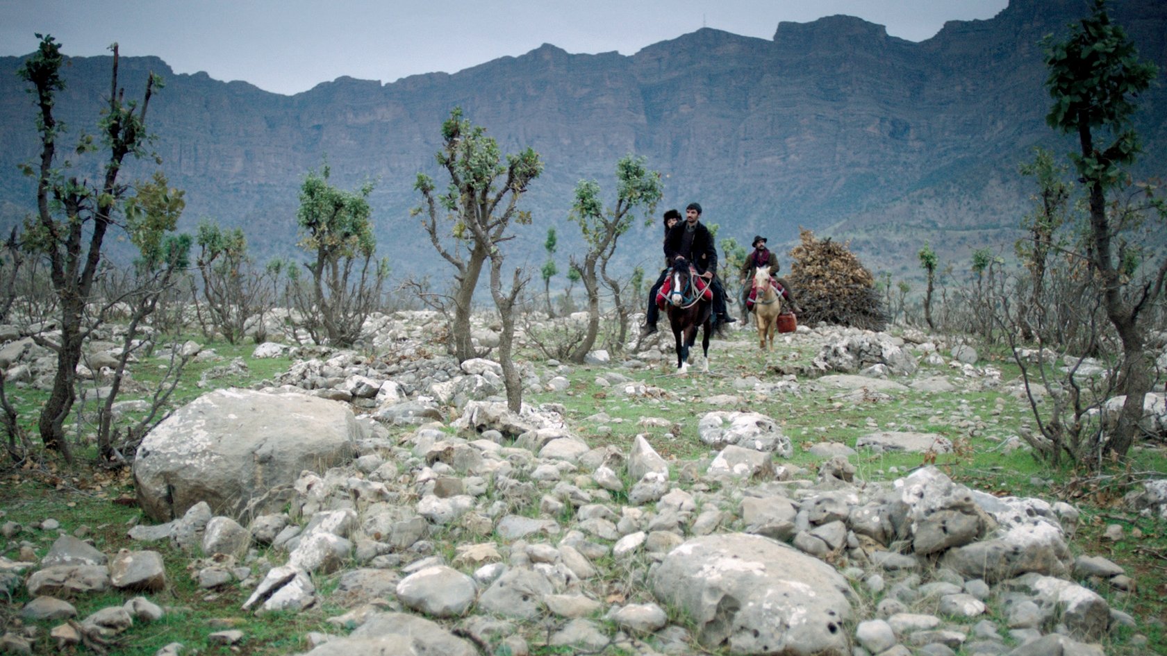تصویر 1
