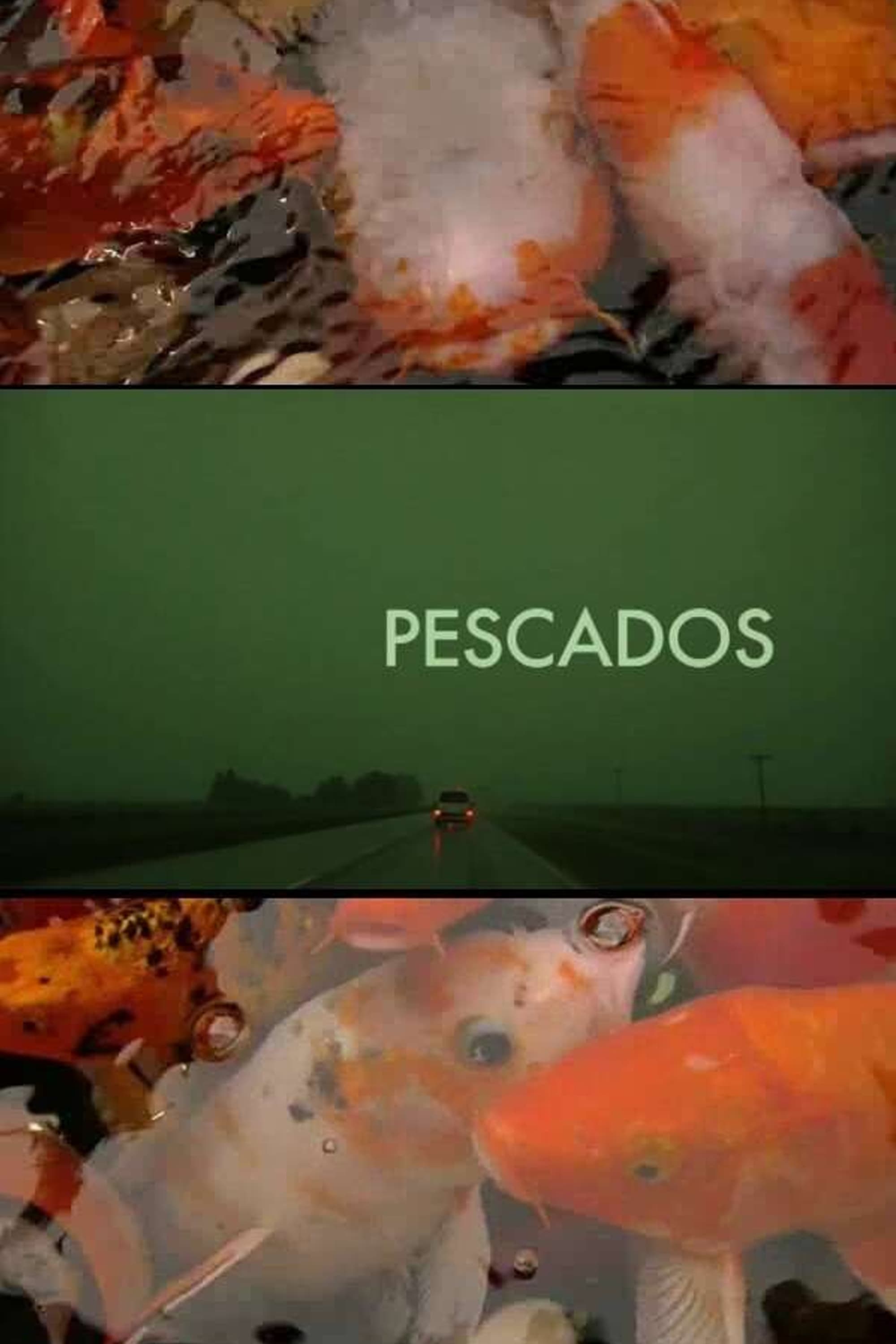 Pescados | Pescados