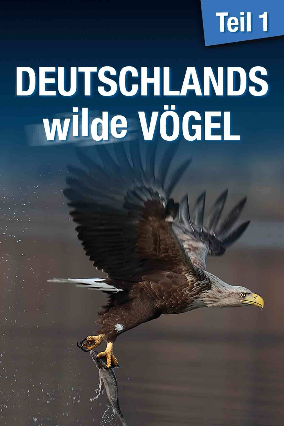 Deutschlands wilde Vögel | Deutschlands wilde Vögel