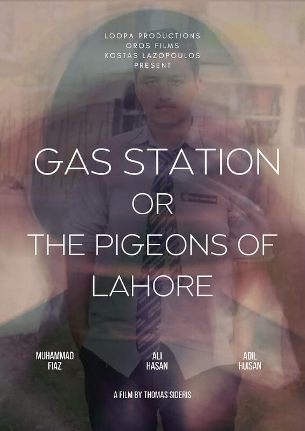 The Pigeons of Lahore | The Pigeons of Lahore