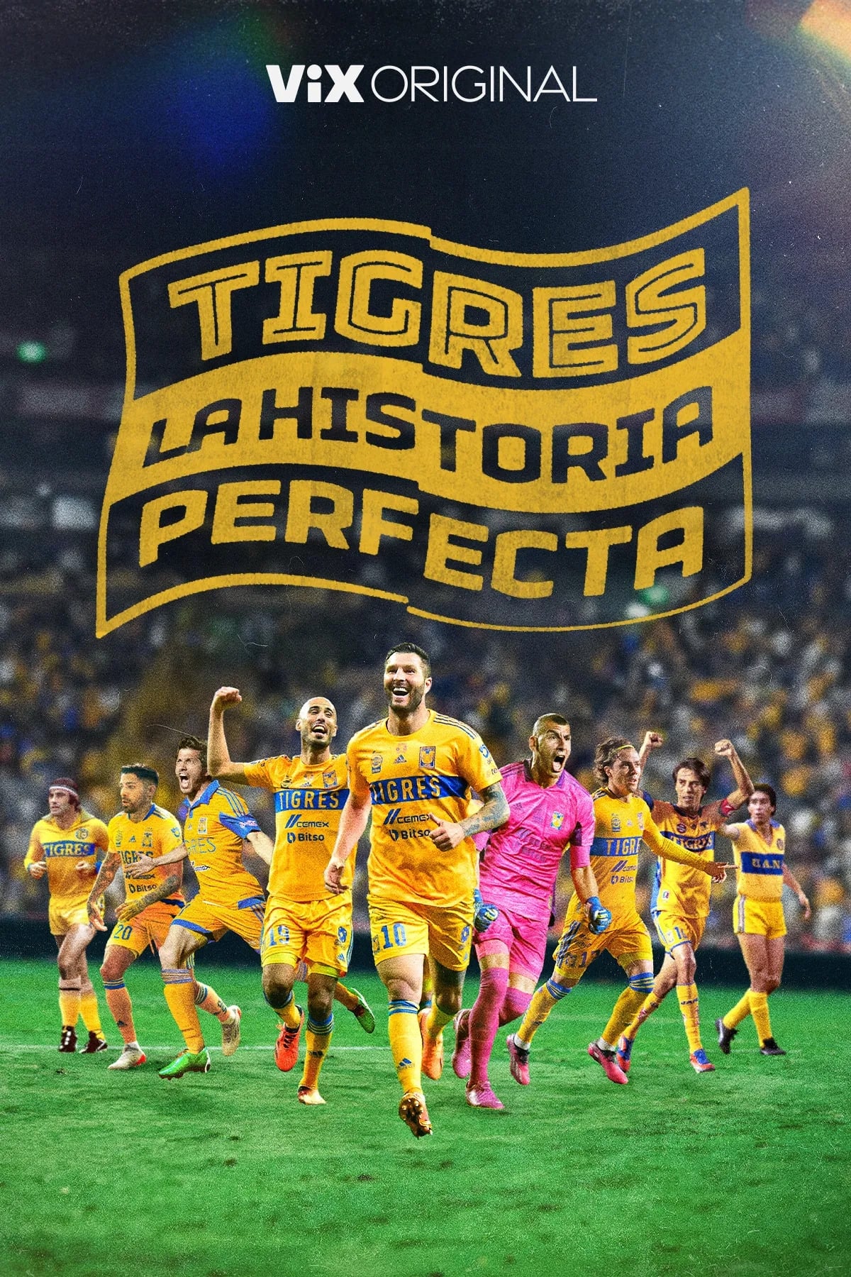 Tigres: La historia perfecta | Tigres: La historia perfecta