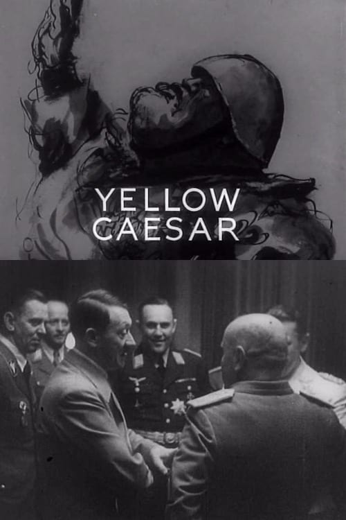 Yellow Caesar | Yellow Caesar