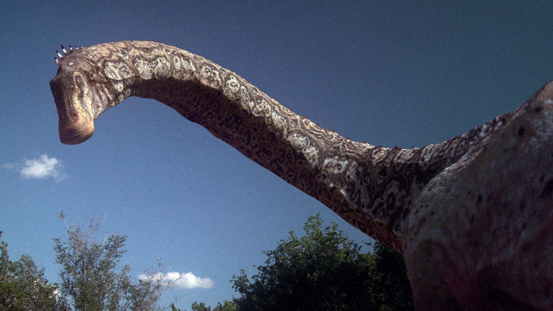 Dinotasia Dinosaur Chronicle|Dinotasia Dinosaur Chronicle