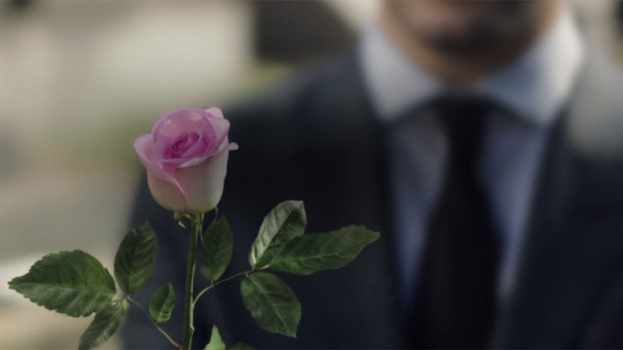 A Rose Reborn|A Rose Reborn