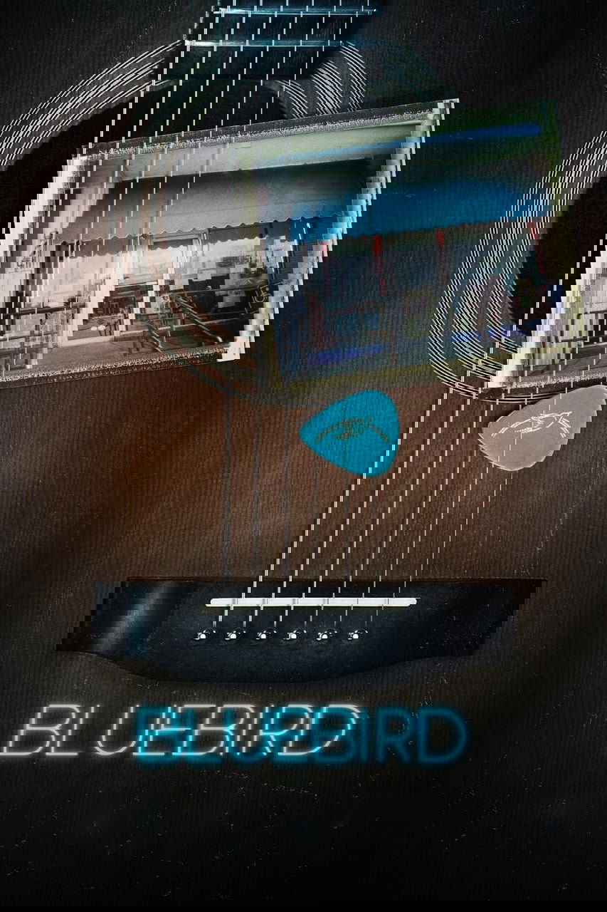 Bluebird | Bluebird