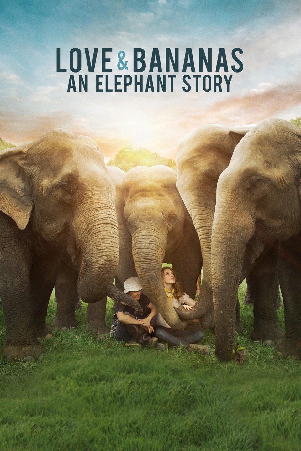 Love & Bananas: An Elephant Story | Love & Bananas: An Elephant Story