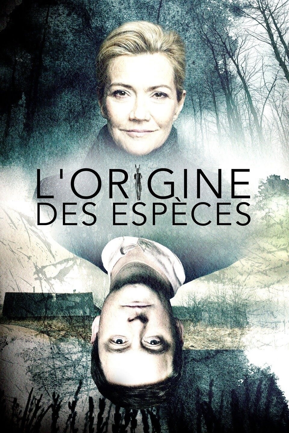 L'Origine des espèces