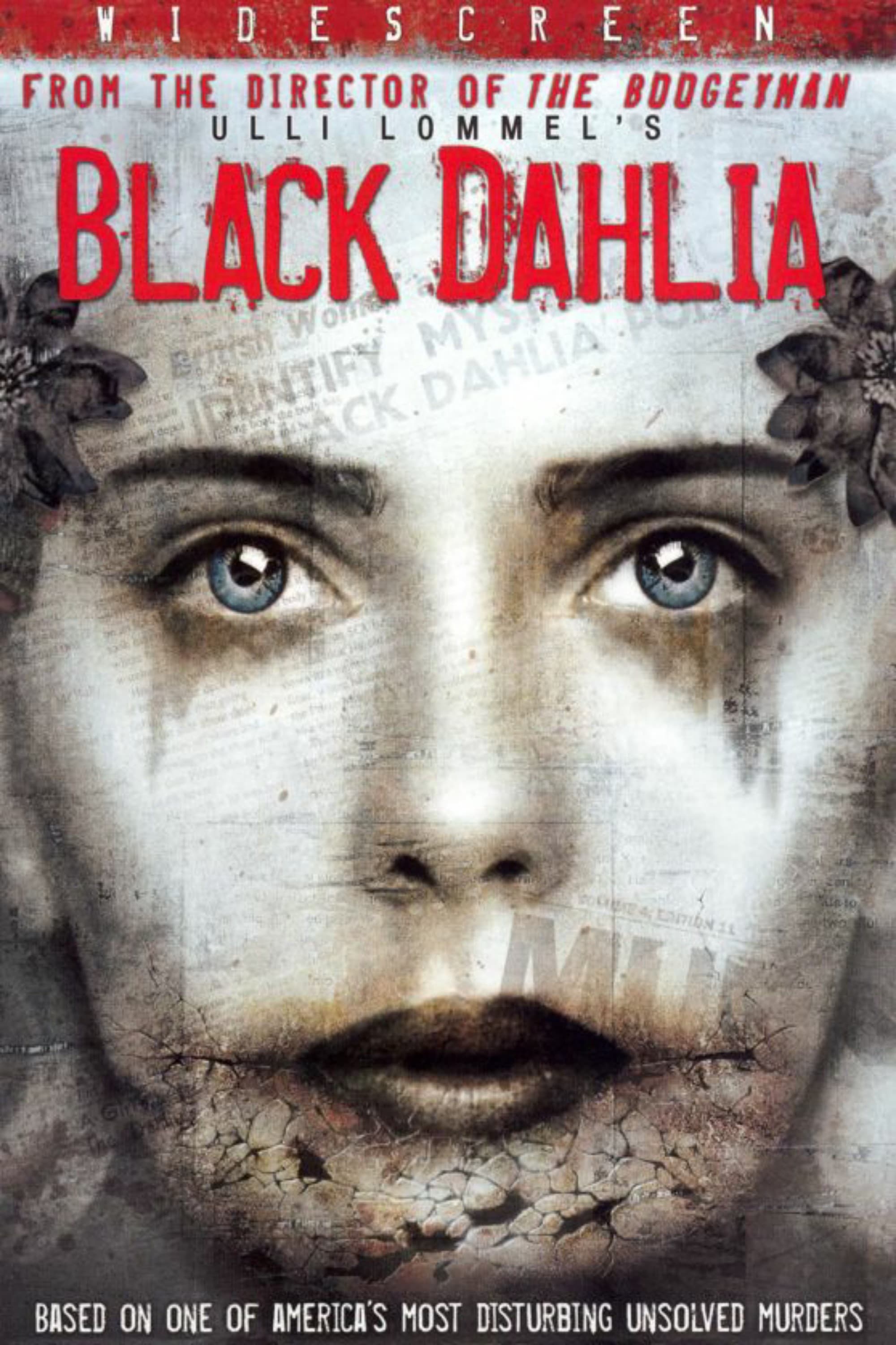 Black Dahlia | Black Dahlia