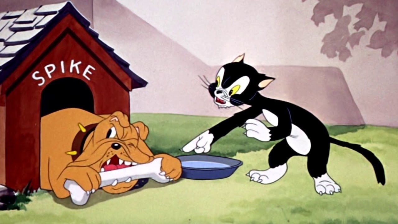 The Cat's Tale|The Cat's Tale